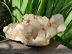 Natural Large Cascading White Phantom Smokey Luena Quartz Cluster x 1 From Luena, Congo