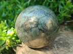 Polished Basalt Pharaoh Stone Spheres x 4 From Iron Duke Mine, Zimbabwe
