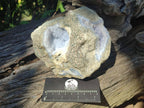 Natural Blue Lace Agate Geode Specimens x 3 From Nsanje, Malawi