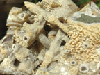 Natural Stacked Rhombohedral Calcite Clusters with Phosphorus Aragonite and Spearhead Crystals x 3 From Albert's Mountain, Lesotho