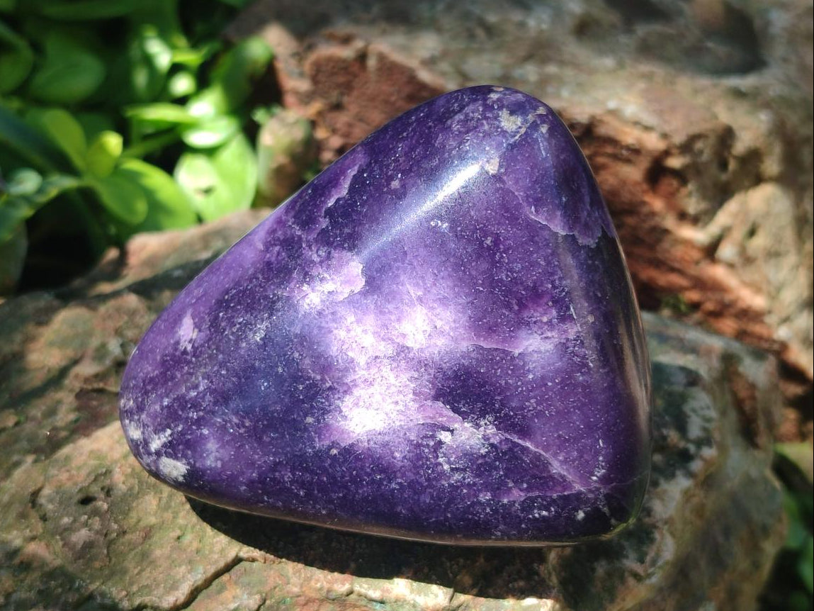 Polished Lepidolite Free Forms x 12 From Zimbabwe