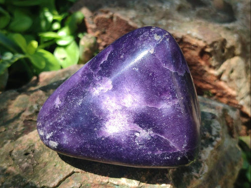 Polished Lepidolite Free Forms x 12 From Zimbabwe - Toprock Gemstones and Minerals 