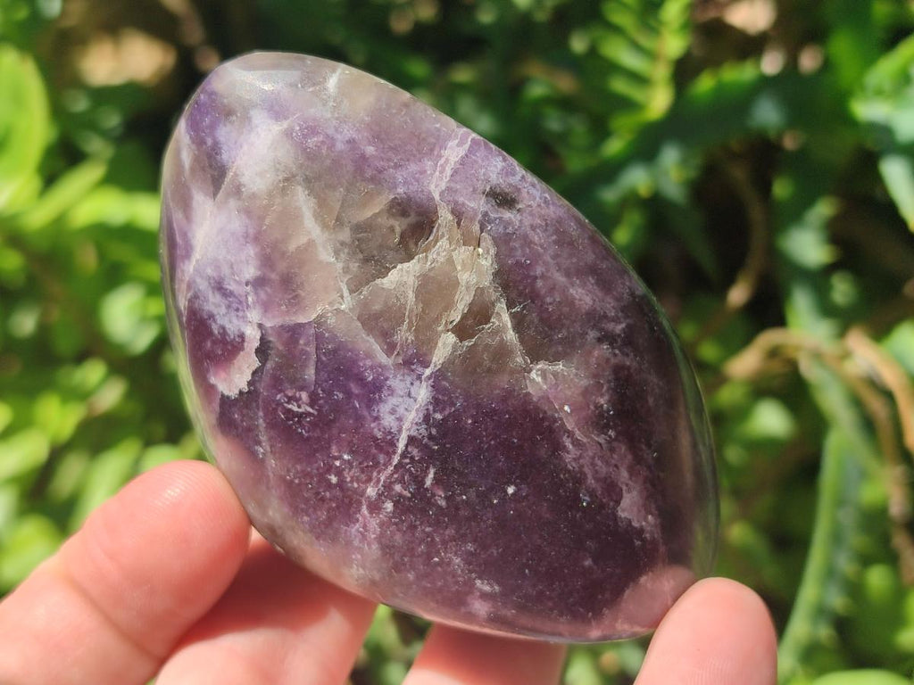 Polished Lepidolite Free Forms x 12 From Zimbabwe