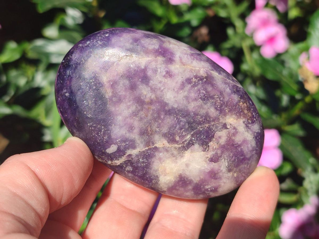 Polished Lepidolite Free Forms x 12 From Zimbabwe