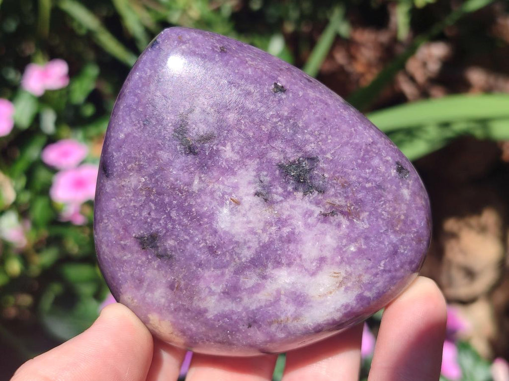 Polished Lepidolite Free Forms x 12 From Zimbabwe
