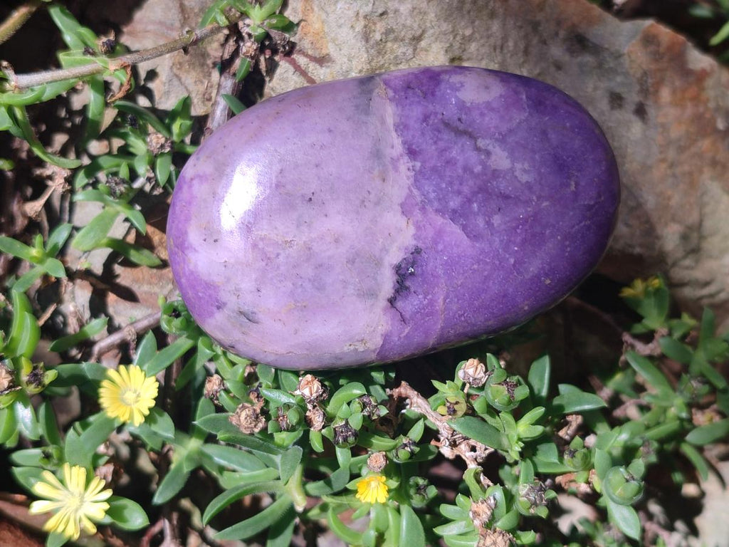 Polished Lepidolite Free Forms x 12 From Zimbabwe
