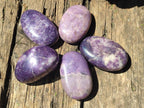 Polished Lepidolite Free Forms x 12 From Zimbabwe