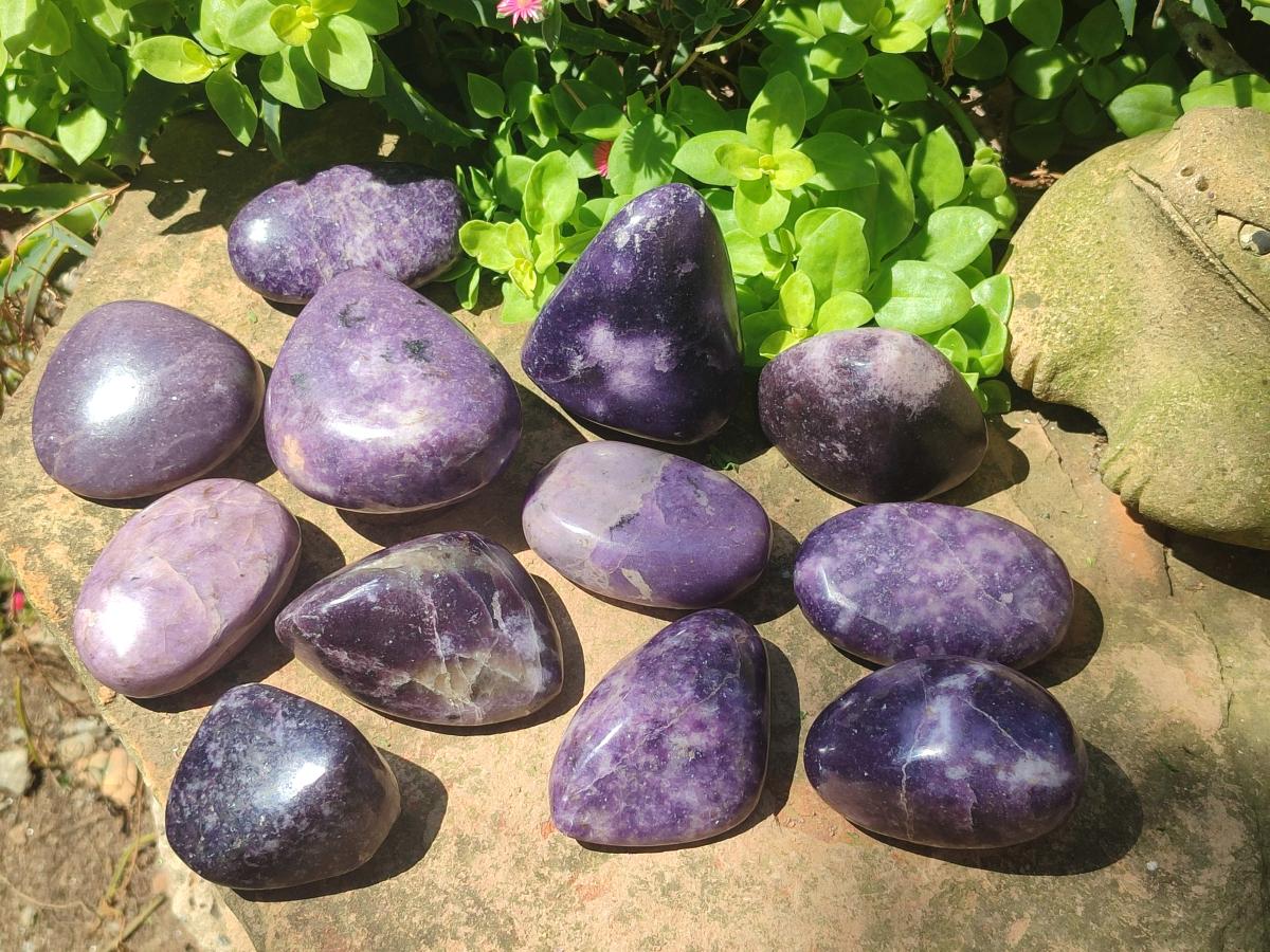 Polished Lepidolite Free Forms x 12 From Zimbabwe
