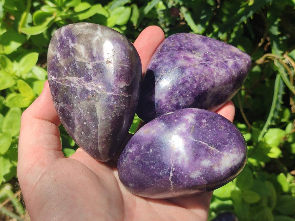 Polished Lepidolite Free Forms x 12 From Zimbabwe