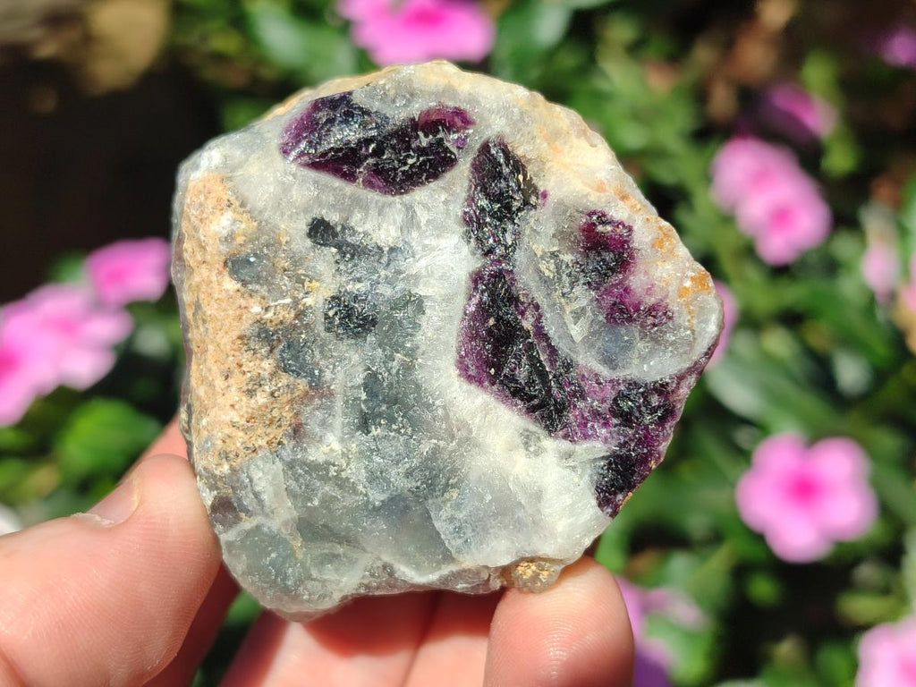 Natural Watermelon Fluorite Cobbed Specimens x 24 From Uis, Namibia