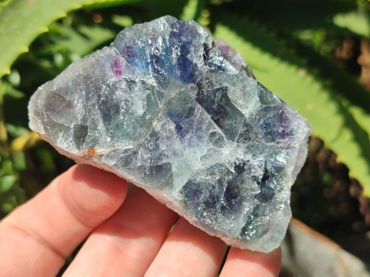 Natural Watermelon Fluorite Cobbed Specimens x 24 From Uis, Namibia