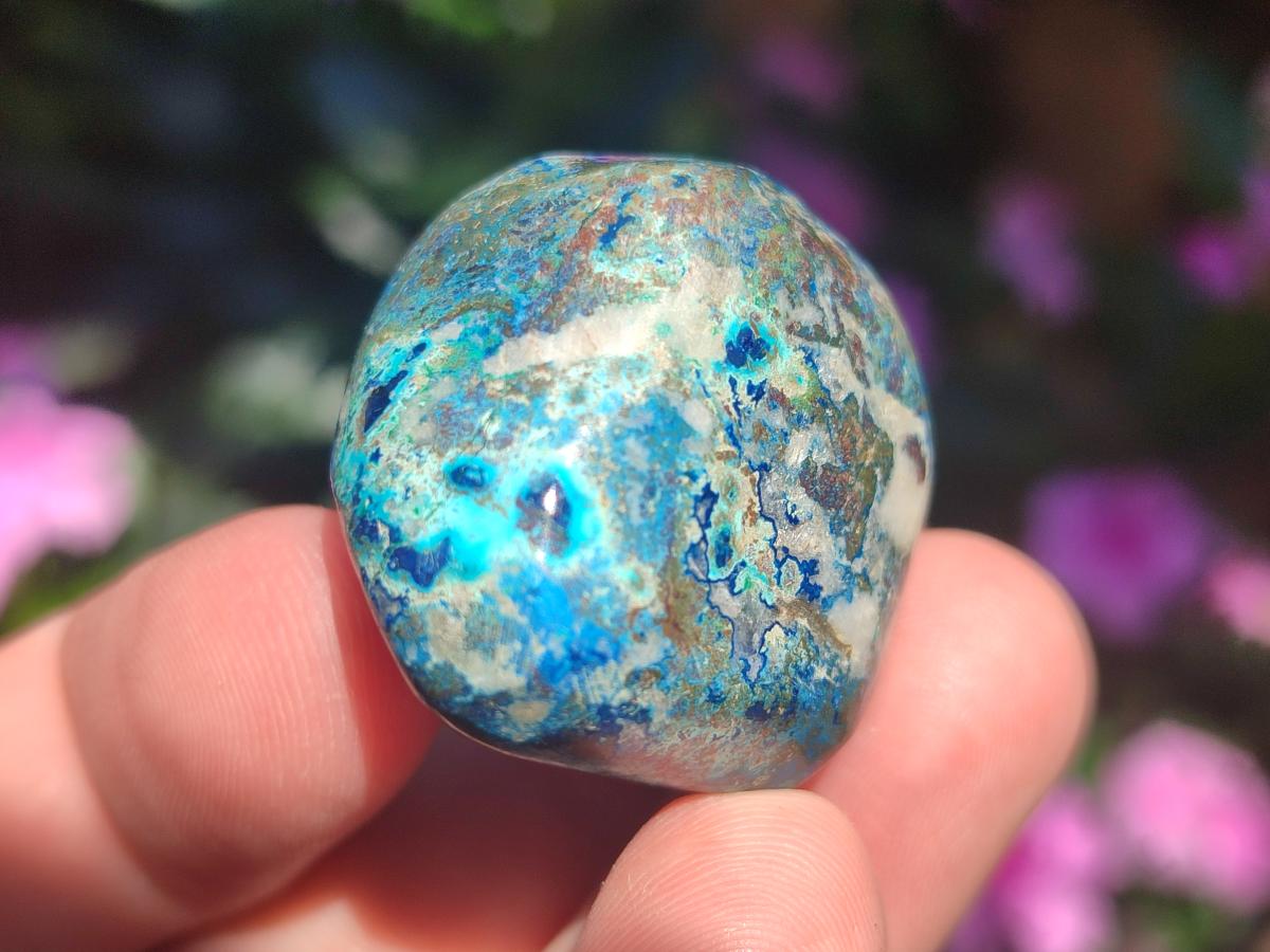 Polished Shattuckite Free Forms x 35 From Congo