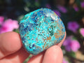 Polished Shattuckite Free Forms x 35 From Congo
