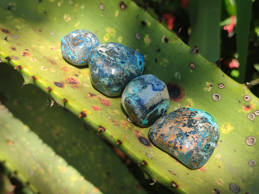 Polished Shattuckite Free Forms x 35 From Congo