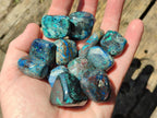 Polished Shattuckite Free Forms x 35 From Congo