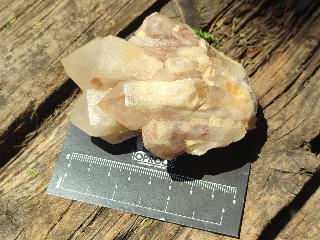 Natural Cascading "Anananas" Candle Quartz Clusters x 12 From Antsirabe, Madagascar