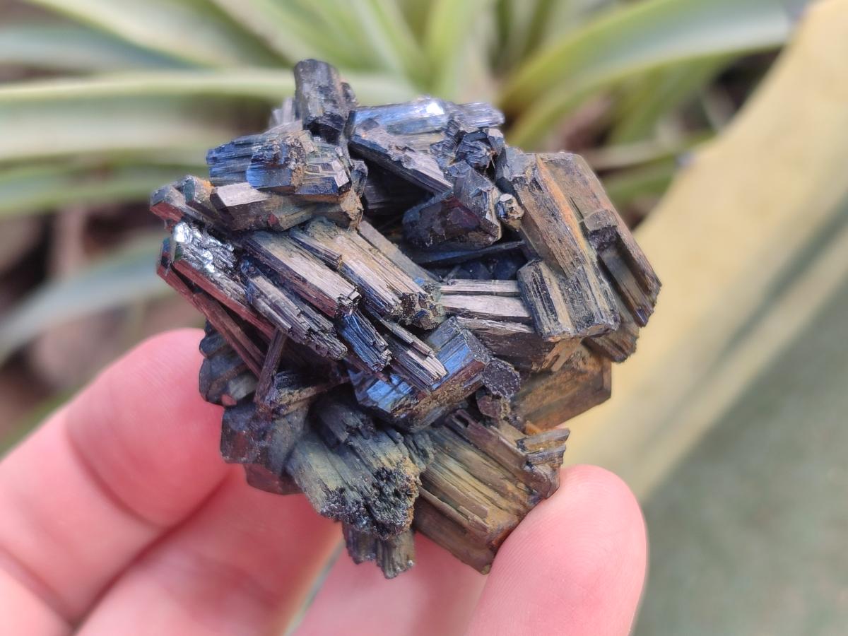 Natural Schorl Black Tourmaline Specimens x 12 From Erongo, Namibia