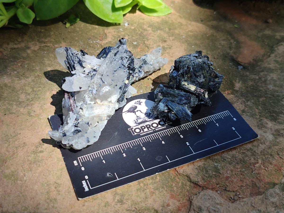 Natural Schorl Black Tourmaline Specimens x 12 From Erongo, Namibia