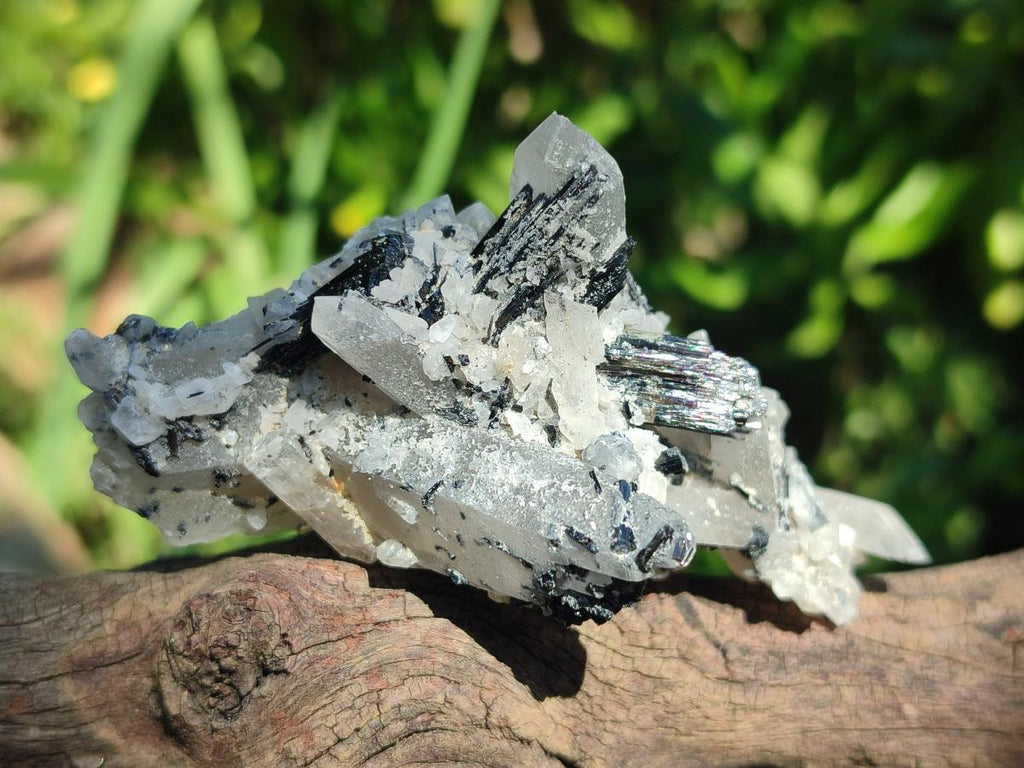 Natural Schorl Black Tourmaline Specimens x 12 From Erongo, Namibia