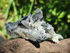 Natural Schorl Black Tourmaline Specimens x 12 From Erongo, Namibia