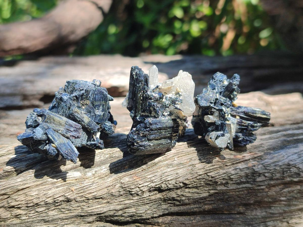 Natural Schorl Black Tourmaline Specimens x 12 From Erongo, Namibia
