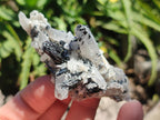 Natural Schorl Black Tourmaline Specimens x 12 From Erongo, Namibia