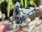 Natural Schorl Black Tourmaline Specimens x 12 From Erongo, Namibia
