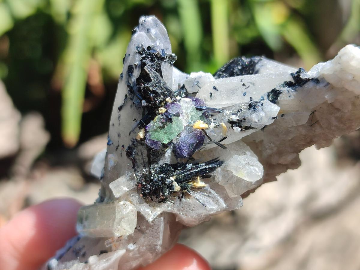 Natural Schorl Black Tourmaline Specimens x 12 From Erongo, Namibia