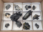 Natural Schorl Black Tourmaline Specimens x 12 From Erongo, Namibia