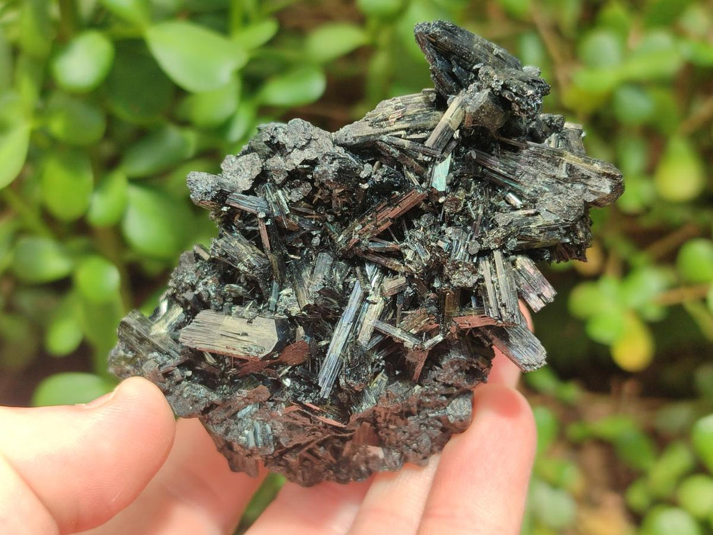 Natural Schorl Black Tourmaline Specimens x 12 From Erongo, Namibia