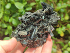 Natural Schorl Black Tourmaline Specimens x 12 From Erongo, Namibia