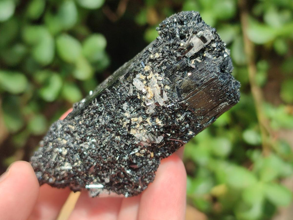 Natural Schorl Black Tourmaline Specimens x 12 From Erongo, Namibia