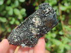 Natural Schorl Black Tourmaline Specimens x 12 From Erongo, Namibia