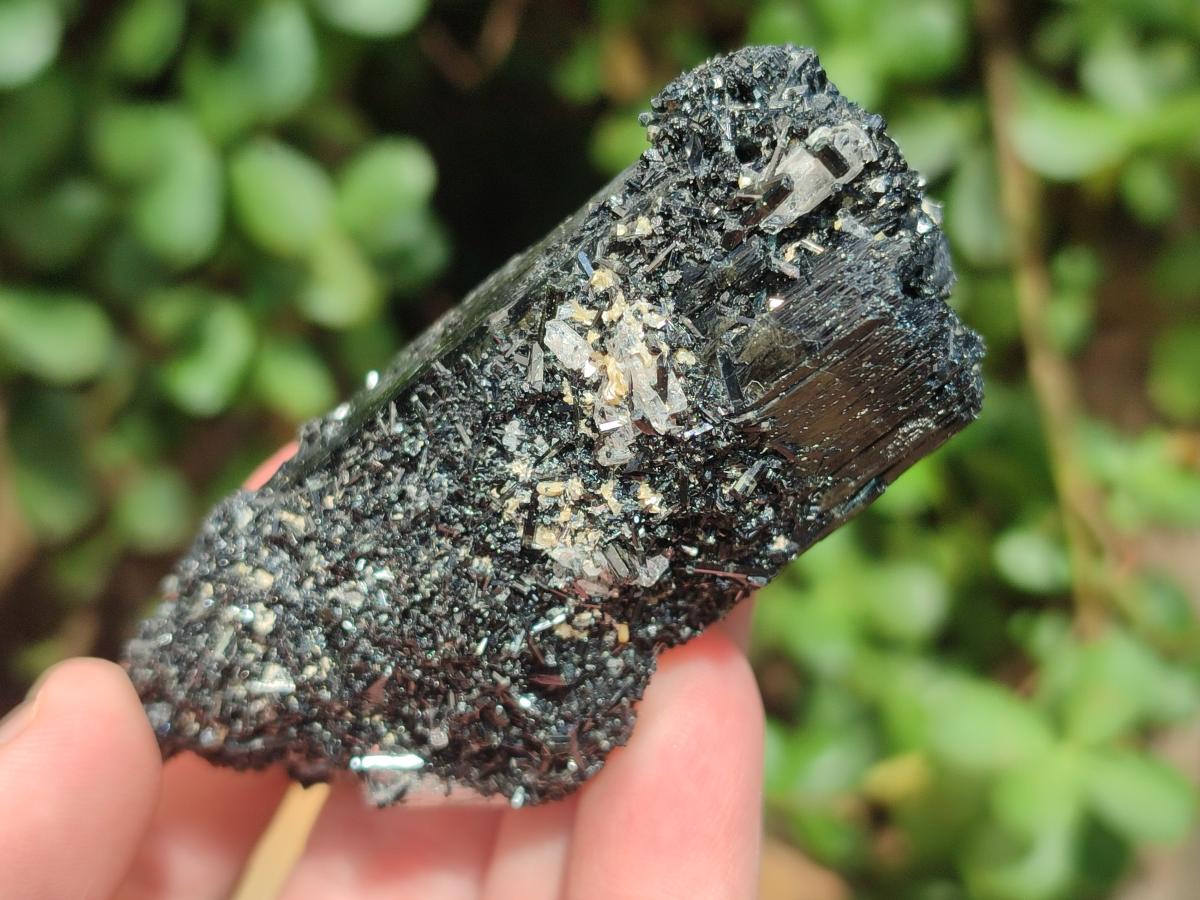 Natural Schorl Black Tourmaline Specimens x 12 From Erongo, Namibia