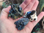 Natural Schorl Black Tourmaline Specimens x 12 From Erongo, Namibia