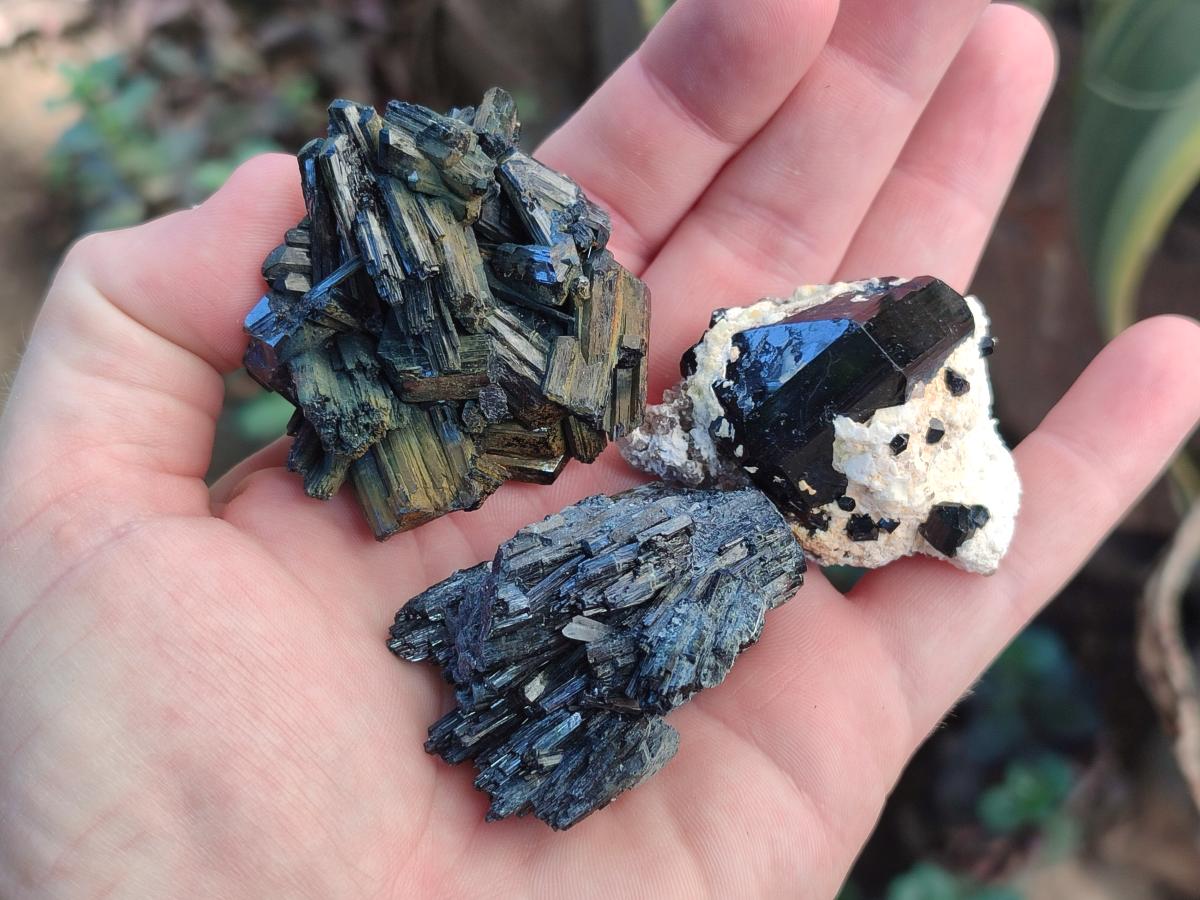 Natural Schorl Black Tourmaline Specimens x 12 From Erongo, Namibia