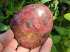 Polished Red Rhodesian Rhodonite Free Forms x 4 From Rhusinga, Zimbabwe