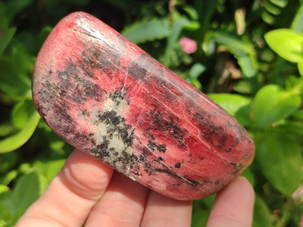 Polished Red Rhodesian Rhodonite Free Forms x 4 From Rhusinga, Zimbabwe