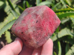 Polished Red Rhodesian Rhodonite Free Forms x 4 From Rhusinga, Zimbabwe