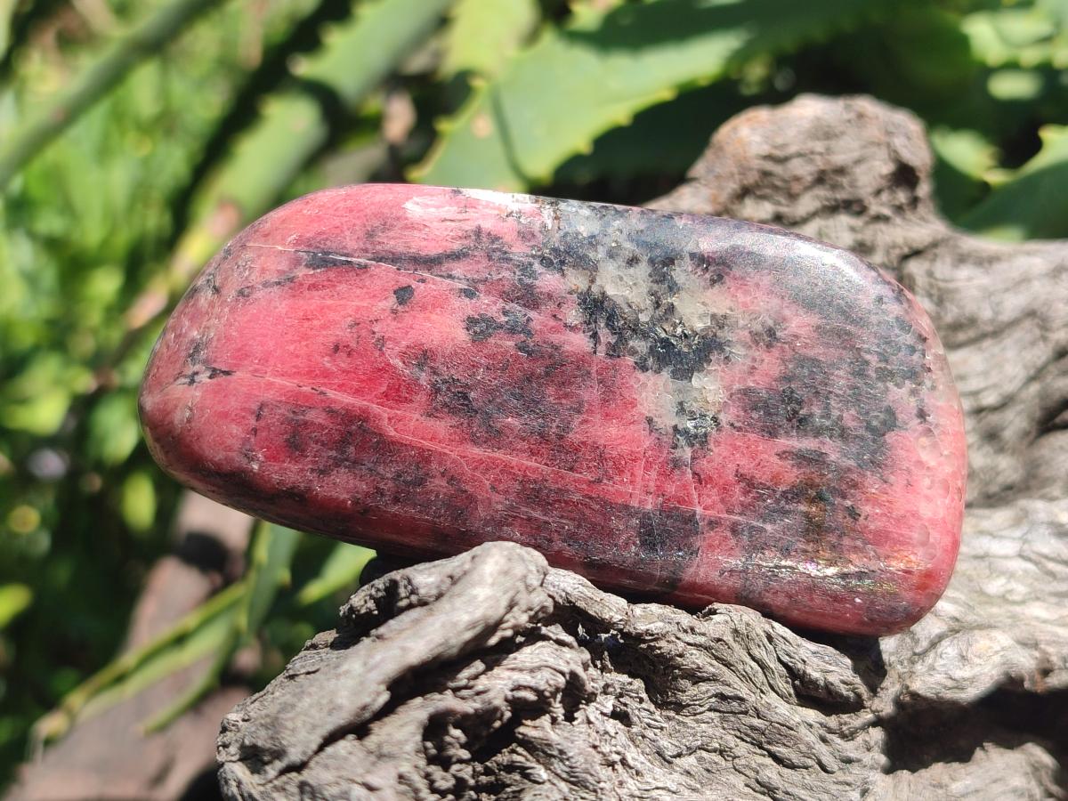 Polished Red Rhodesian Rhodonite Free Forms x 4 From Rhusinga, Zimbabwe
