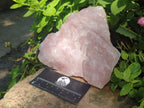 Natural Cobbed Rose Quartz Specimens x 13 From Northern Cape, South Africa