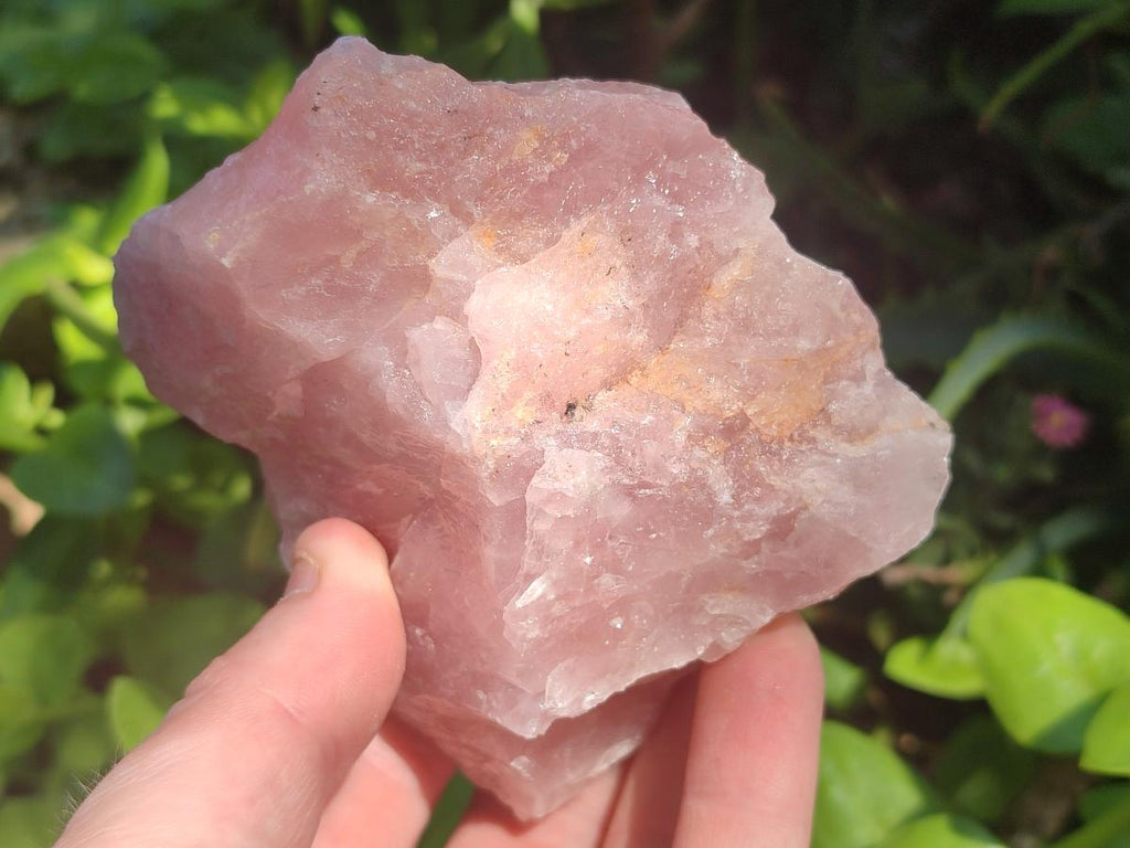 Natural Cobbed Rose Quartz Specimens x 13 From Northern Cape, South Africa