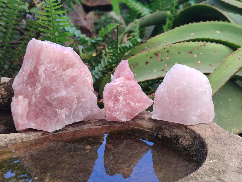 Natural Cobbed Rose Quartz Specimens x 13 From Northern Cape, South Africa