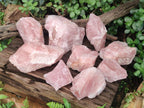 Natural Cobbed Rose Quartz Specimens x 13 From Northern Cape, South Africa