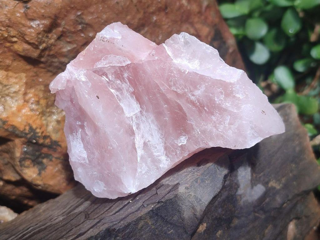 Natural Cobbed Rose Quartz Specimens x 13 From Northern Cape, South Africa