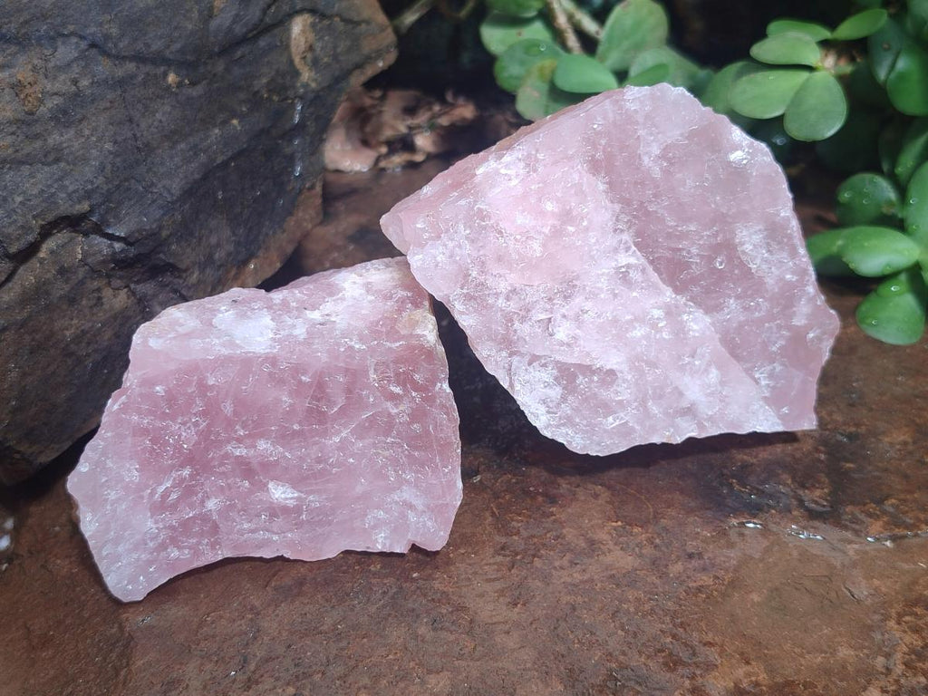 Natural Cobbed Rose Quartz Specimens x 13 From Northern Cape, South Africa