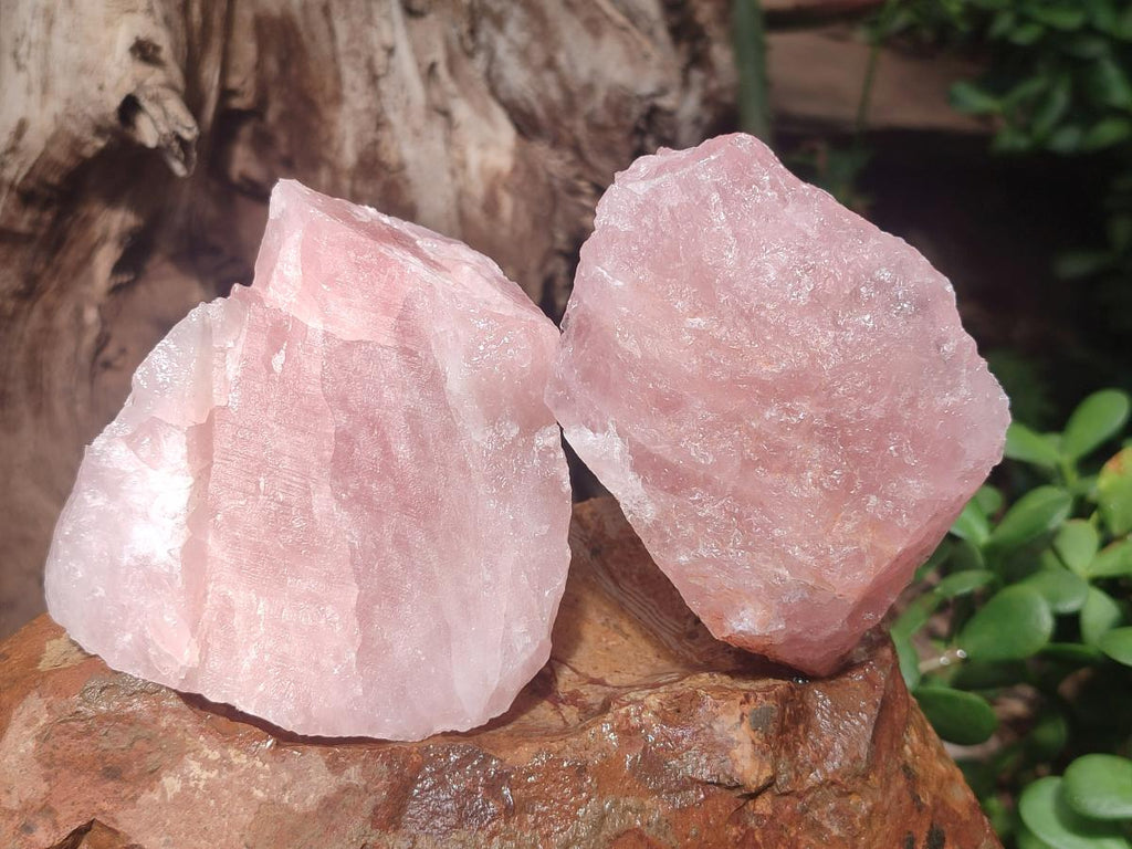 Natural Cobbed Rose Quartz Specimens x 13 From Northern Cape, South Africa