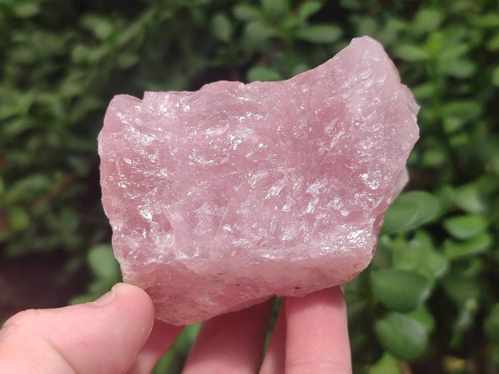 Natural Cobbed Rose Quartz Specimens x 13 From Northern Cape, South Africa