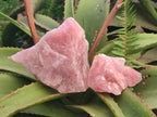 Natural Cobbed Rose Quartz Specimens x 13 From Northern Cape, South Africa