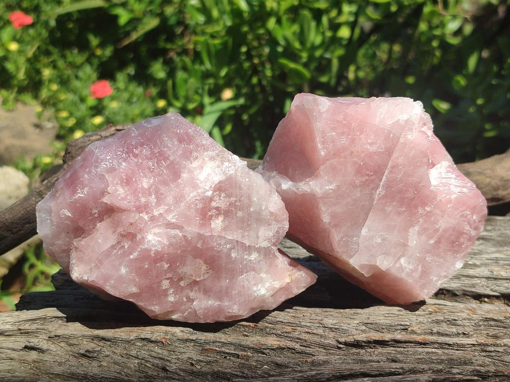 Natural Cobbed Rose Quartz Specimens x 13 From Northern Cape, South Africa